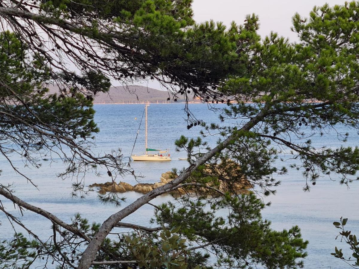 L'Instant Mer - Bord De Mer - Studio Avec Grand Jardin A La Capte Hyères Dış mekan fotoğraf
