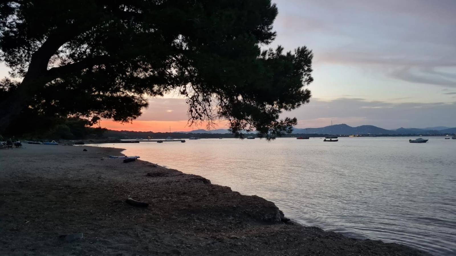 L'Instant Mer - Bord De Mer - Studio Avec Grand Jardin A La Capte Hyères Dış mekan fotoğraf